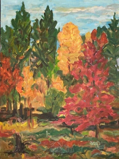 Little Red Oak