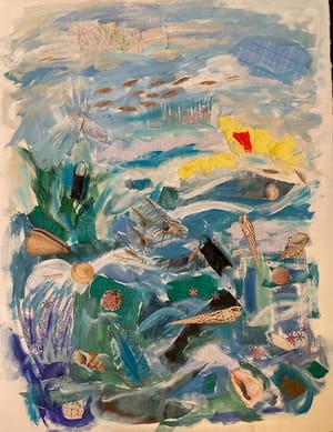 Ocean Wonders